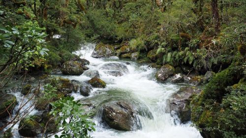 Small Waterfall on Routeburn Track